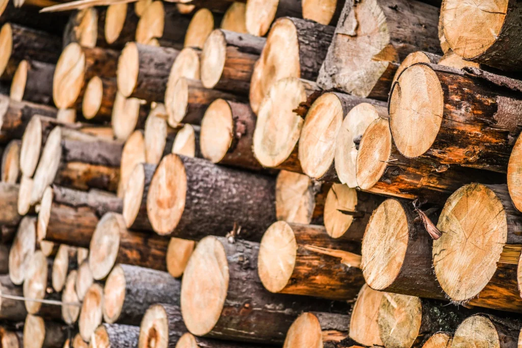 Fenstermaxx24 – nachwachsende rohstoffe 1