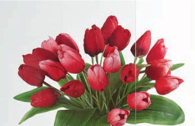 Fenstermaxx24 – Klarglas