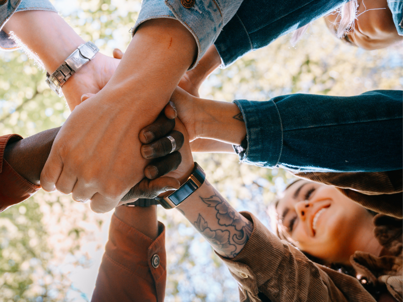 Fenstermaxx24 – Design ohne Titel122